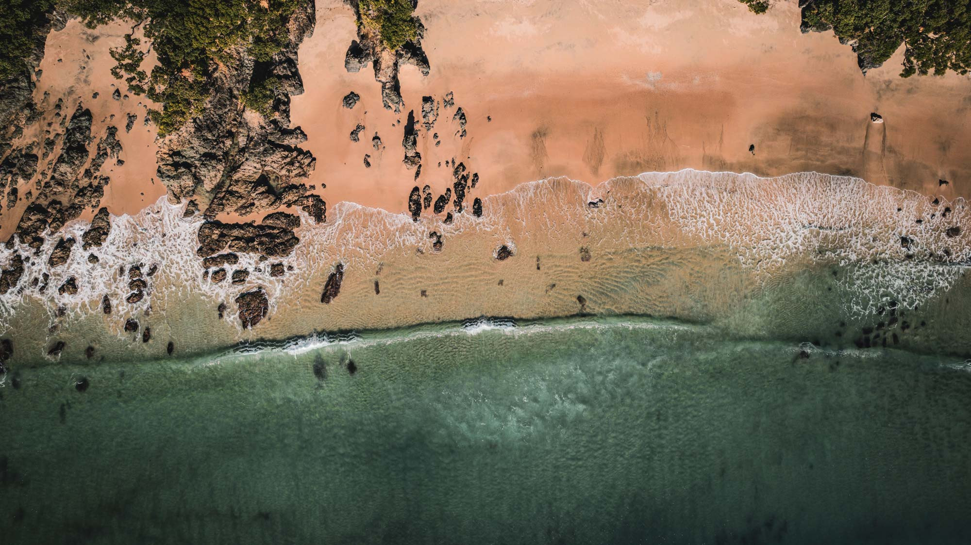 Aerial view of a shoreline
